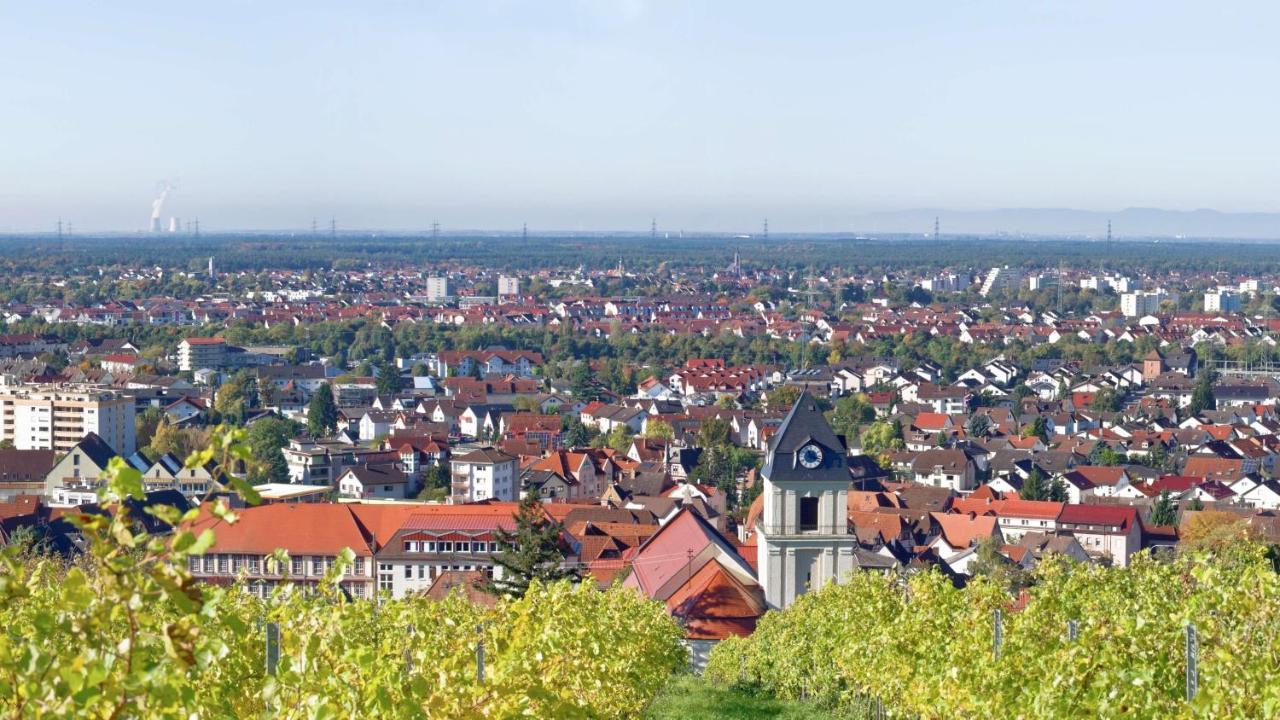 Grosse Ferienwohnung, Apartment In Leimen Wehome Komfort 外观 照片
